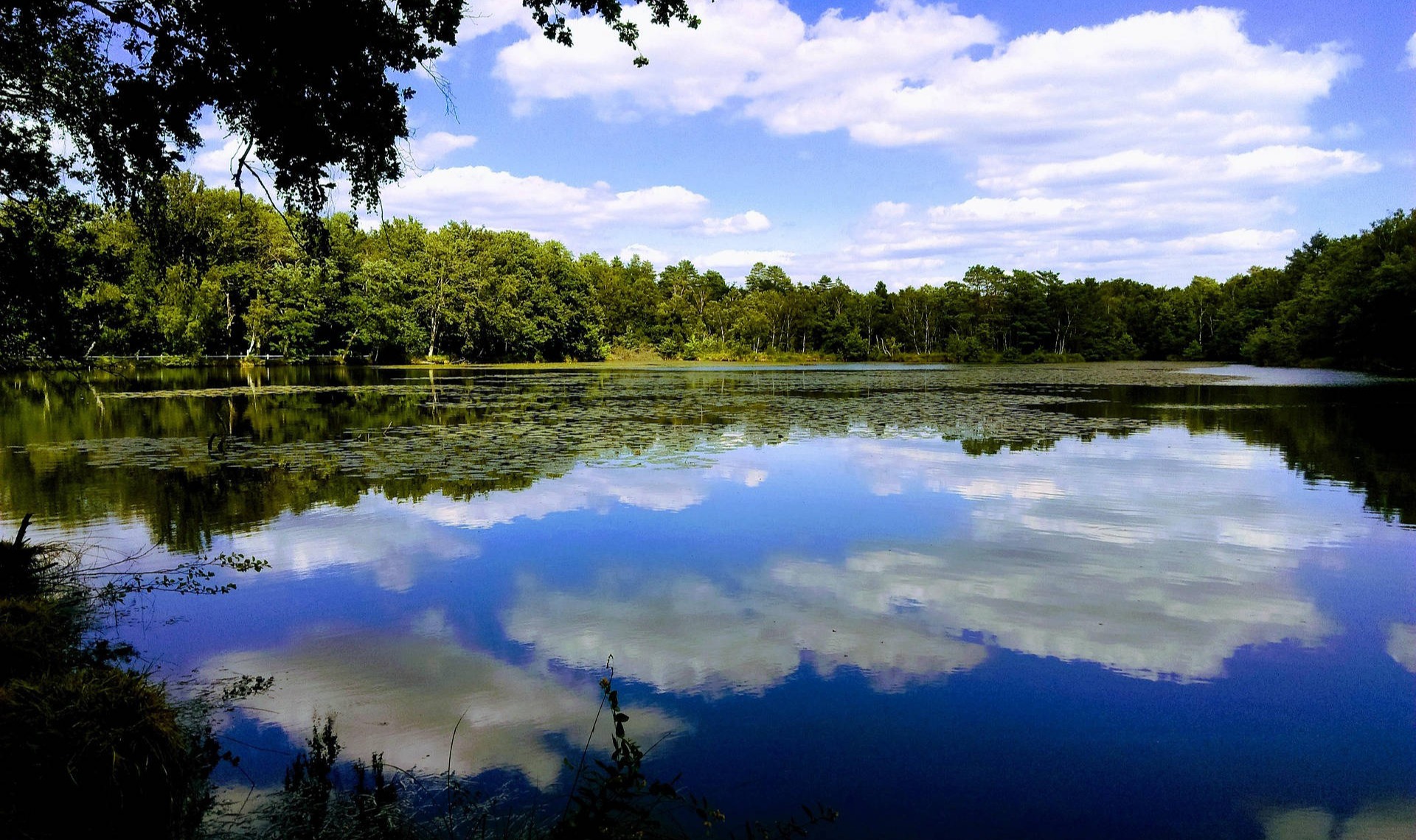 La Sologne - @Pixabay 