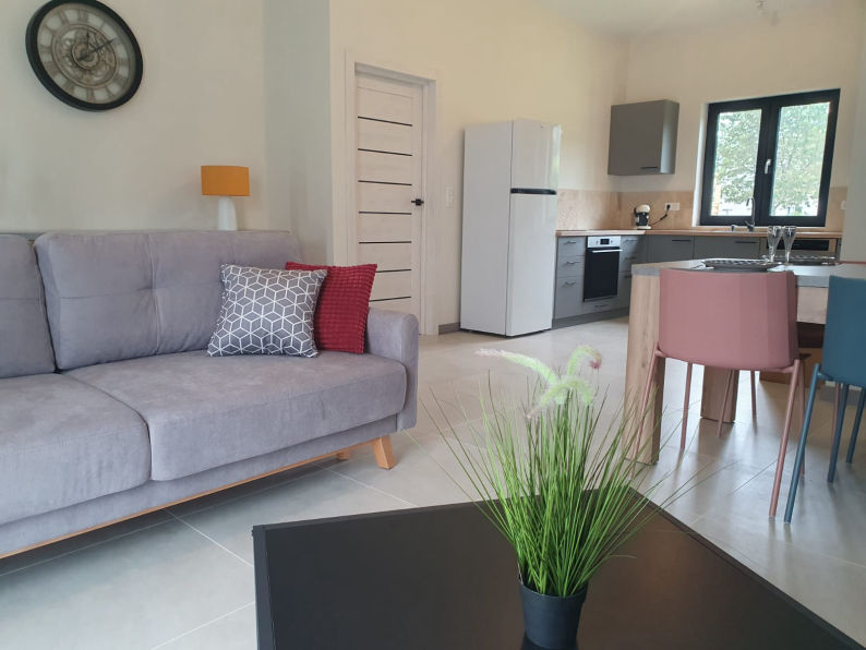 Salon avec cuisine ouverte